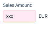 Input field showing a validation error Input field showing a validation error