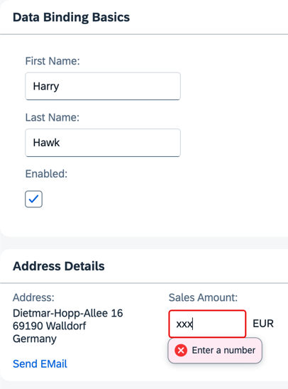 An error message is displayed upon entering text into the currency amount input field An error message is displayed upon entering text into the currency amount input field